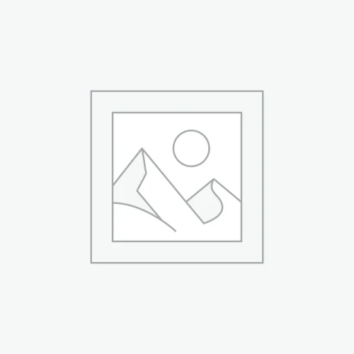 ~(30.4 lbs. 19X19X10)~ MR701 17x8.5 0mm Offset 5x5 71.5mm Centerbore Method Bronze